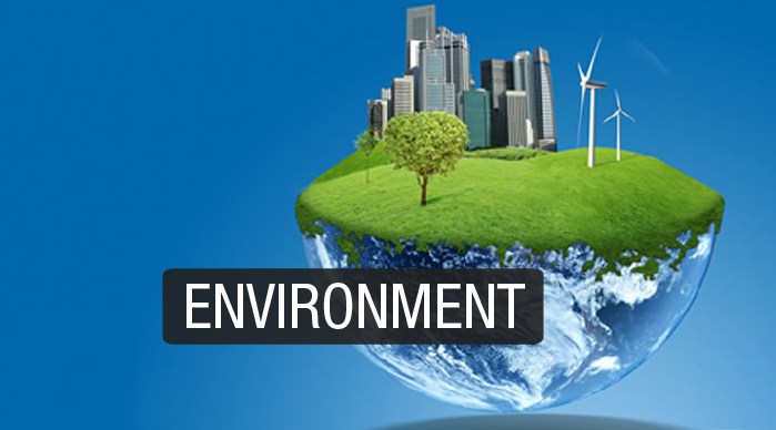 Environmental team building activities for corporate groups and staff that care about balancing world development with clean sustainable environmental solutions.