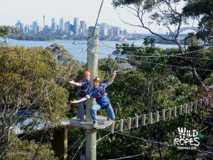wild high ropes Sydney Taronga Zoo Treetop Sydney team building adventure activities
