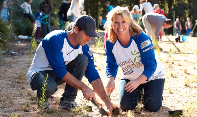 planting tree day ideal for corporate team building activities around Sydney, Gold Coast and Brisbane 