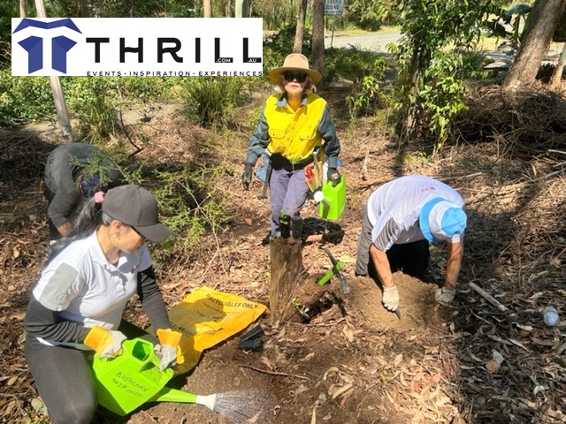 Tree planting for staff team building activities in Sydney 