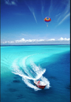 Thrill Parasailing and Exotic Adventures