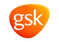 GSK Optus team building activities for staff
