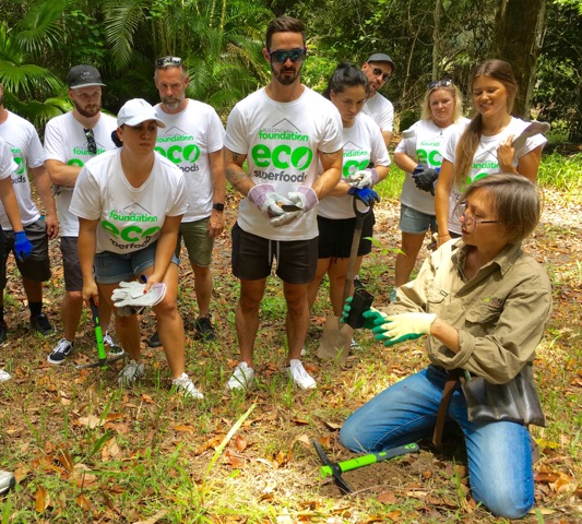 Eco activities and Bushwalks on The Gold Coast