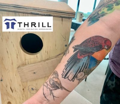 nest box build for birds and native australian animals