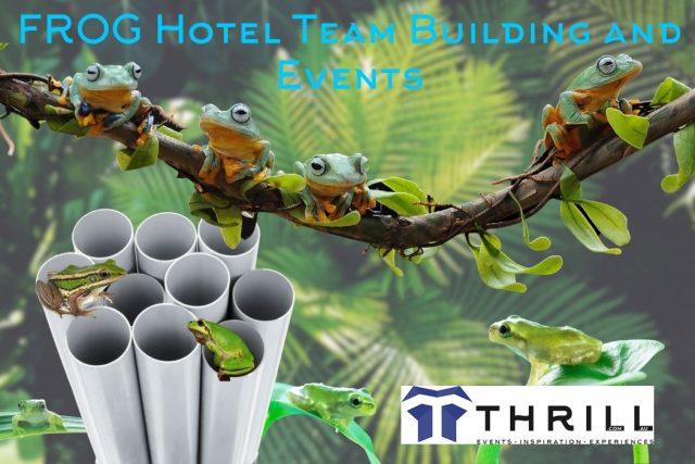 frog-hotel-team-building-habitat-homes